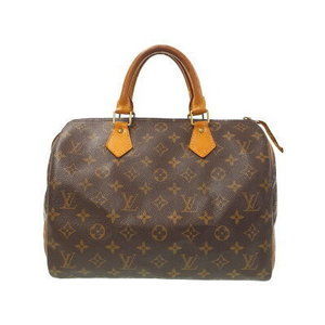 Louis Vuitton Monogram Speedy Handbag